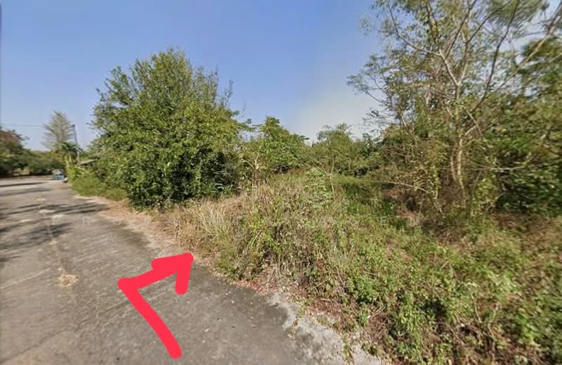 For Sale - ที่ดินสันป่าตอง เชียงใหม่, Chiang Mai