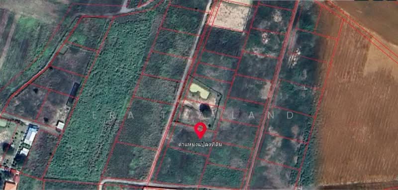 ขาย - ขายที่ดินทำเลทองชะอำ 1 ไร่ ใกล้ ม.ศิลปากร, เพชรบุรี