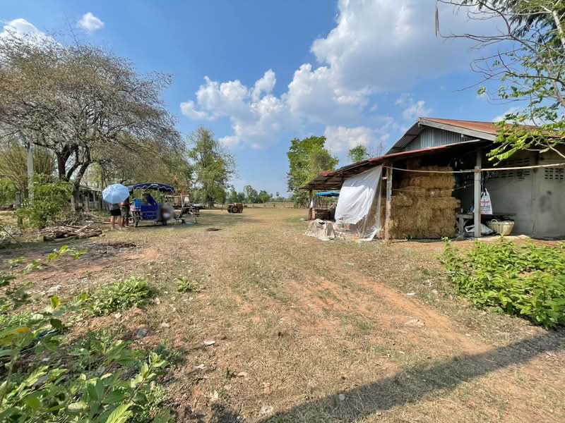 ที่ดินบ้านไผ่ ขอนแก่น, Khon Kaen, Ban Phai, Ban Phai, Khon Kaen, , 1,600 sqm, Land For Sale, by The Best Property อัคร, 500228996 - DDproperty.com