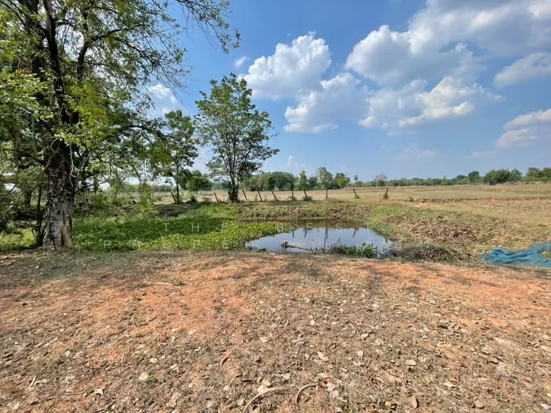 ที่ดินบ้านไผ่ ขอนแก่น, ขอนแก่น, บ้านไผ่, บ้านไผ่, ขอนแก่น, 1,600 ตร.ม., ที่ดิน ขาย, โดย The Best Property อัคร, 500228996 - DDproperty.com