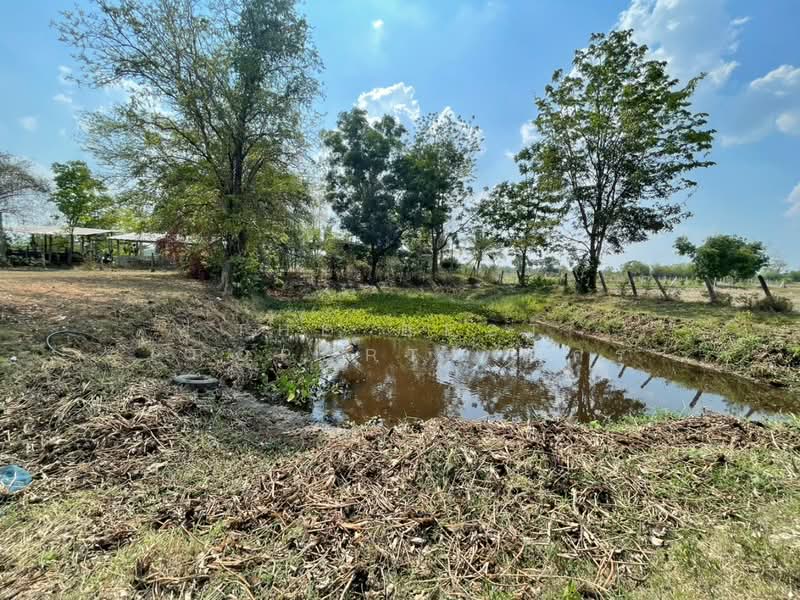 ที่ดินบ้านไผ่ ขอนแก่น, ขอนแก่น, บ้านไผ่, บ้านไผ่, ขอนแก่น, 1,600 ตร.ม., ที่ดิน ขาย, โดย The Best Property อัคร, 500228996 - DDproperty.com