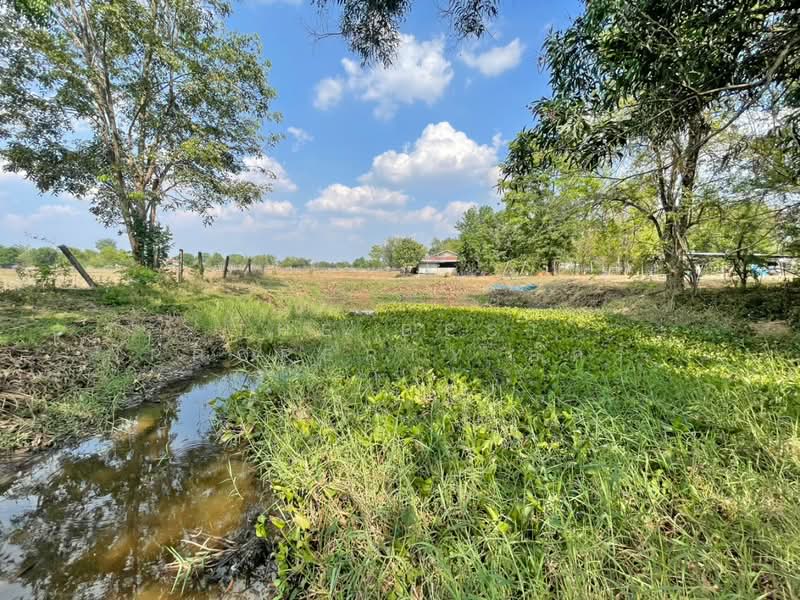 ที่ดินบ้านไผ่ ขอนแก่น, ขอนแก่น, บ้านไผ่, บ้านไผ่, ขอนแก่น, 1,600 ตร.ม., ที่ดิน ขาย, โดย The Best Property อัคร, 500228996 - DDproperty.com