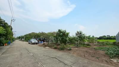 ขาย - ที่ดินถมแล้ว 114 ตารางวา ซอยดงรักพัฒนา ไทรน้อย, นนทบุรี