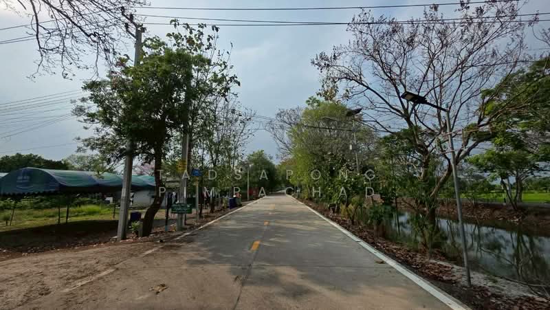 ที่ดินถมแล้ว 114 ตารางวา ซอยดงรักพัฒนา ไทรน้อย, Nonthaburi, Thawi Watthana, Sai Noi, Nonthaburi, , 456 sqm, Land For Sale, by Tadsapong Pimpachad, 500229027 - DDproperty.com