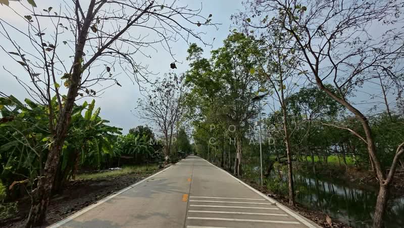 ที่ดินถมแล้ว 114 ตารางวา ซอยดงรักพัฒนา ไทรน้อย, Nonthaburi, Thawi Watthana, Sai Noi, Nonthaburi, , 456 sqm, Land For Sale, by Tadsapong Pimpachad, 500229027 - DDproperty.com