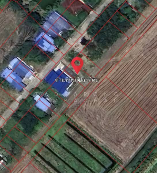 ที่ดินถมแล้ว 114 ตารางวา ซอยดงรักพัฒนา ไทรน้อย, Nonthaburi, Thawi Watthana, Sai Noi, Nonthaburi, , 456 sqm, Land For Sale, by Tadsapong Pimpachad, 500229027 - DDproperty.com