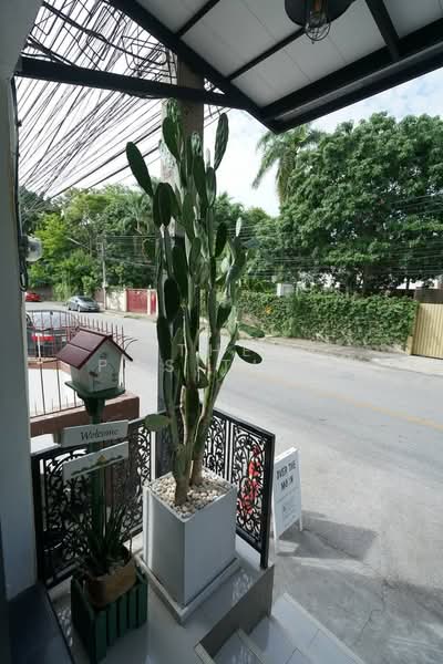 4.5-Storey Commercial Building (Near Old City), Chiang Mai, Sri Phum, Muang Chiang Mai, Chiang Mai, , 300 sqm, Shophouse For Sale, by The Positive Living, 500229055 - DDproperty.com