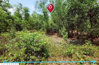 ขาย - ที่ดินคลองสิบสอง 1 ไร่ 1 ตร.ว. หนองจอก ใกล้ศูนย์สุขภาพโรงพยาบาลเวชการุณย์รัศมิ์ LU-025082, กรุงเทพ