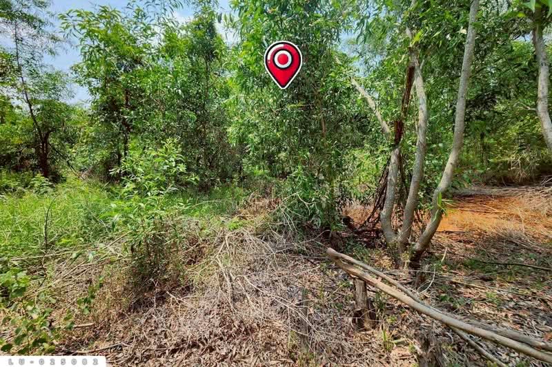 For Sale - Land plot of 1 rai 1 sq.w. in Khlong Sip Song, Nong Chok LU-025082, Bangkok