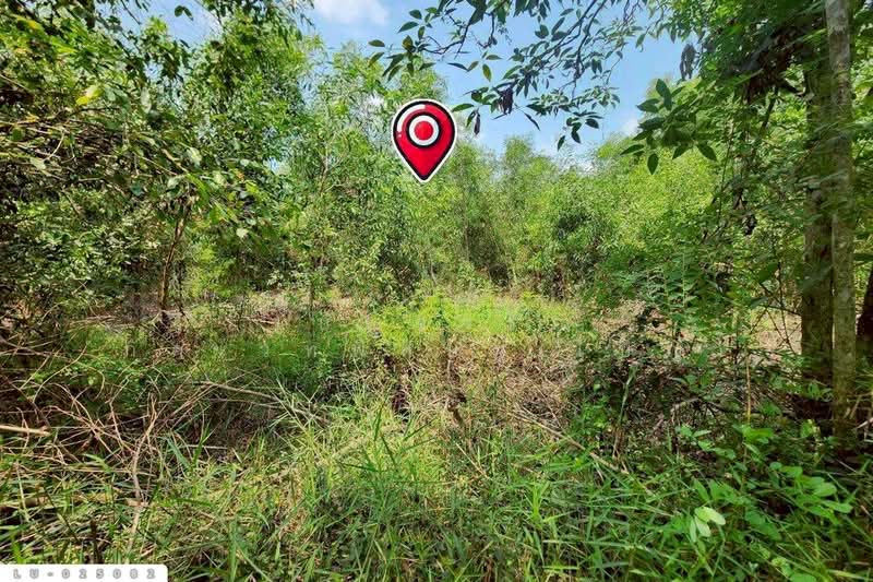 ขาย - ที่ดินคลองสิบสอง 1 ไร่ 1 ตร.ว. หนองจอก ใกล้ศูนย์สุขภาพโรงพยาบาลเวชการุณย์รัศมิ์ LU-025082, กรุงเทพ