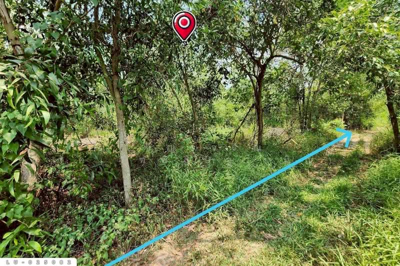 ขาย - ที่ดินคลองสิบสอง 1 ไร่ 1 ตร.ว. หนองจอก ใกล้ศูนย์สุขภาพโรงพยาบาลเวชการุณย์รัศมิ์ LU-025082, กรุงเทพ