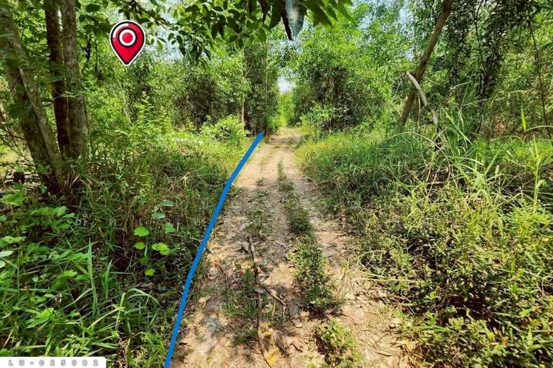 ขาย - ที่ดินคลองสิบสอง 1 ไร่ 1 ตร.ว. หนองจอก ใกล้ศูนย์สุขภาพโรงพยาบาลเวชการุณย์รัศมิ์ LU-025082, กรุงเทพ