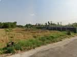 ที่ดินคลองหลวง ปทุมธานี, ปทุมธานี