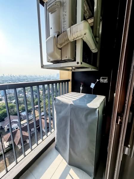 Life Sukhumvit 62 : ไลฟ์ สุขุมวิท 62, กรุงเทพ, ซอยสุขุมวิท 62, บางจาก, พระโขนง, กรุงเทพ, 30 ตร.ม., คอนโด ให้เช่า, โดย Connex Property, 500229225 - DDproperty.com