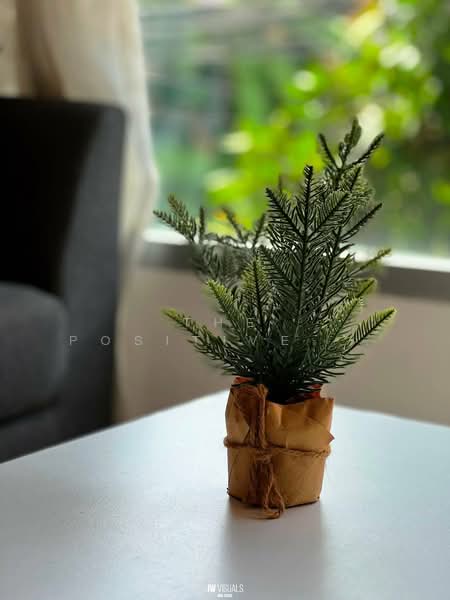 D Vieng Santitham, Chiang Mai, 66 Hussadhisawee Rd, Chang Phuak, Muang Chiang Mai, Chiang Mai, 1 Bedroom, 37 sqm, Condo For Rent, by The Positive ที่ดิน บ้าน คอนโด, 500229253 - DDproperty.com