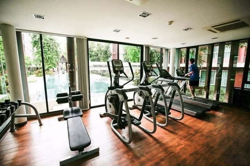 D Vieng Santitham : ดีเวียง สันติธรรม, เชียงใหม่, 66 ถ.หัสดิเสวี, ช้างเผือก, เมืองเชียงใหม่, เชียงใหม่, 37 ตร.ม., คอนโด ให้เช่า, โดย The Positive ที่ดิน บ้าน คอนโด, 500229253 - DDproperty.com