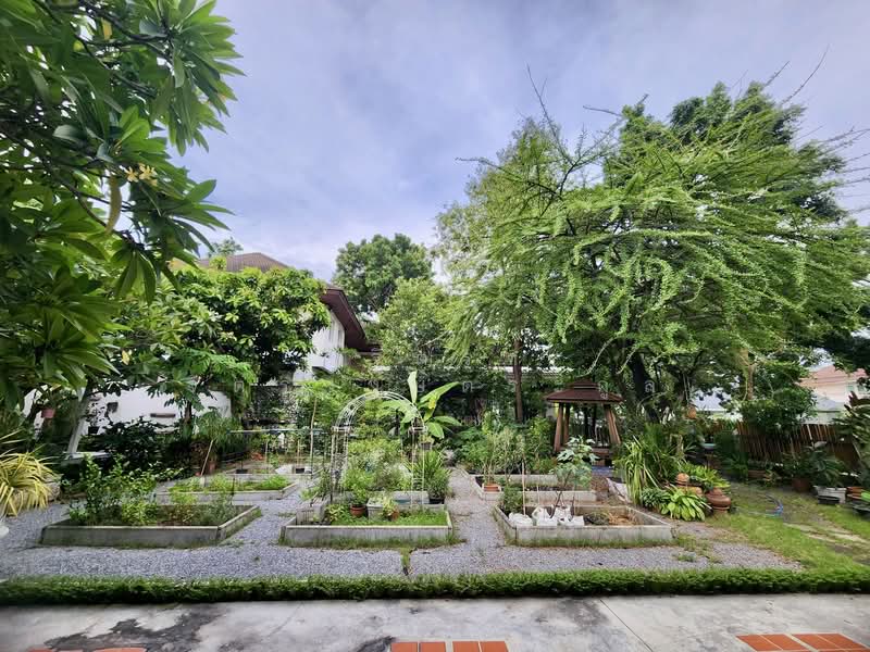 Panya Ramintra : ปัญญา รามอินทรา, กรุงเทพ, ซอยเปรมฤทัย 3, คันนายาว, กรุงเทพ, 300 ตร.ม., บ้านเดี่ยว ขาย, โดย วิจิตรา จิตรวงษ์ตระกูล, 500229265 - DDproperty.com