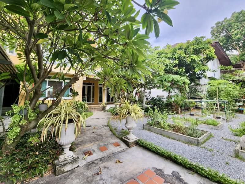 Panya Ramintra : ปัญญา รามอินทรา, กรุงเทพ, ซอยเปรมฤทัย 3, คันนายาว, กรุงเทพ, 300 ตร.ม., บ้านเดี่ยว ขาย, โดย วิจิตรา จิตรวงษ์ตระกูล, 500229265 - DDproperty.com