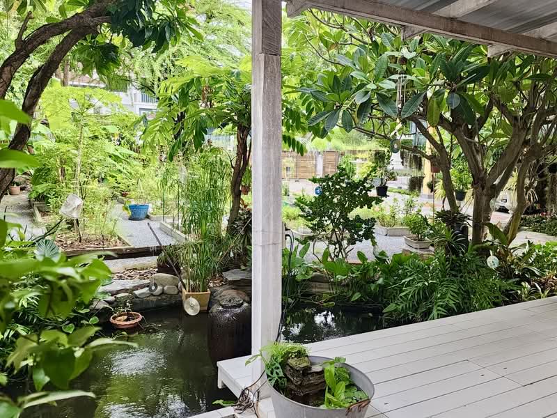 Panya Ramintra : ปัญญา รามอินทรา, กรุงเทพ, ซอยเปรมฤทัย 3, คันนายาว, กรุงเทพ, 300 ตร.ม., บ้านเดี่ยว ขาย, โดย วิจิตรา จิตรวงษ์ตระกูล, 500229265 - DDproperty.com