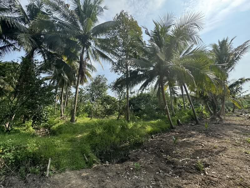 ขาย - บางคนที, สมุทรสงคราม