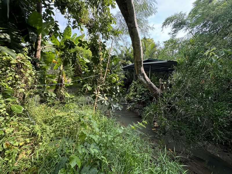 ขาย - บางคนที, สมุทรสงคราม