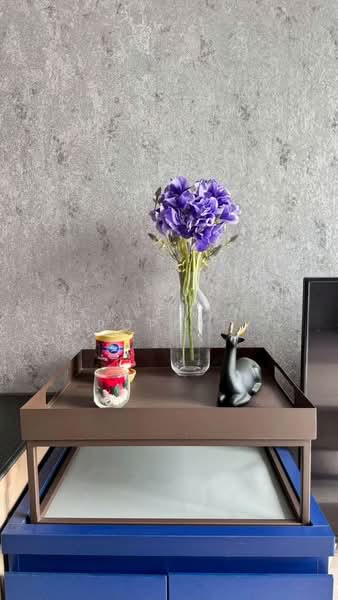 XT Ekkamai, Bangkok, 259 Soi Sukhumvit 63, Khlong Tan Nua, Watthana, Bangkok, 1 Bedroom, 30 sqm, Condo For Rent, by caveman property, 500229397 - DDproperty.com