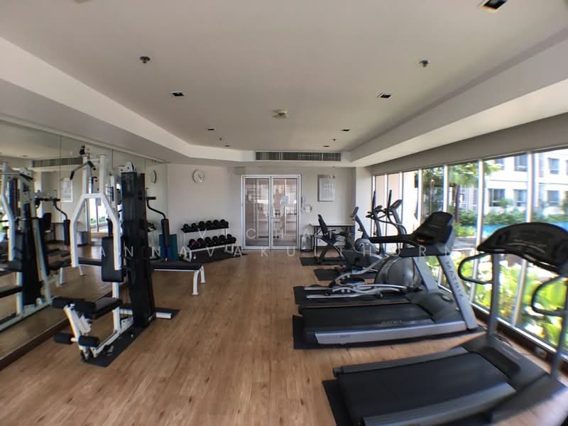 For Rent - Condo One X Sukhumvit 26, Bangkok