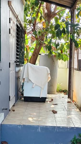 For Rent - Pimuk 1, Chiang Mai