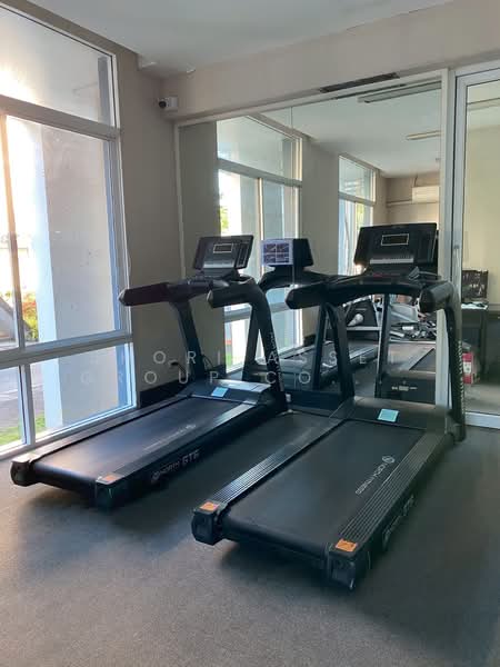 One Plus Jed Yod 1 & 2, Chiang Mai, Chang Phuak, Muang Chiang Mai, Chiang Mai, 2 Bedrooms, 46 sqm, Condo For Rent, by Shori Asset Group Co., Ltd., 500229511 - DDproperty.com