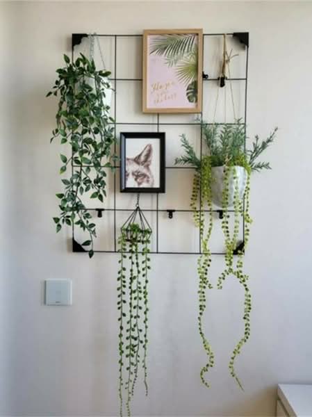 XT Huaikhwang, Bangkok, 244 Ratchadaphisek Road, Huai Khwang, Huai Khwang, Bangkok, 1 Bedroom, 35 sqm, Condo For Rent, by ปัจจัย โชติสุขรัตน์, 500229581 - DDproperty.com