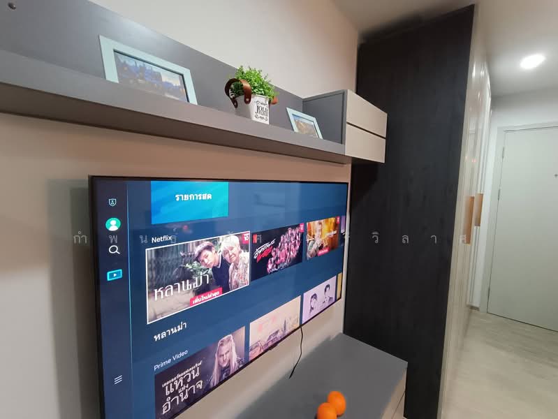 Rye Sukhumvit 101/1, Bangkok, Soi Wachiratham Sathit 29/2, Bang Chak, Phra Khanong, Bangkok, 1 Bedroom, 29 sqm, Condo For Rent, by กำพนธ์ อัศวศิริวิลาศ, 500229672 - DDproperty.com