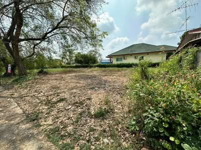 ขาย - ที่ดินหนองแค สระบุรี, สระบุรี