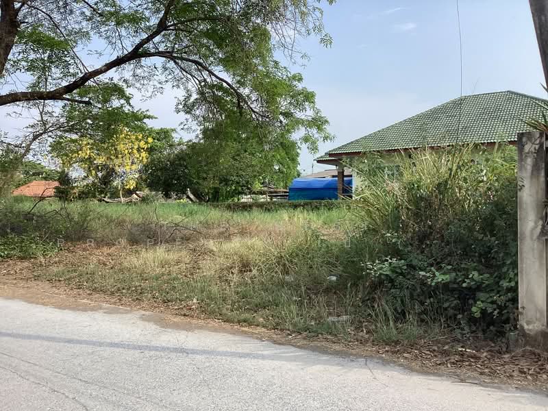 ขาย - ที่ดินหนองแค สระบุรี, สระบุรี