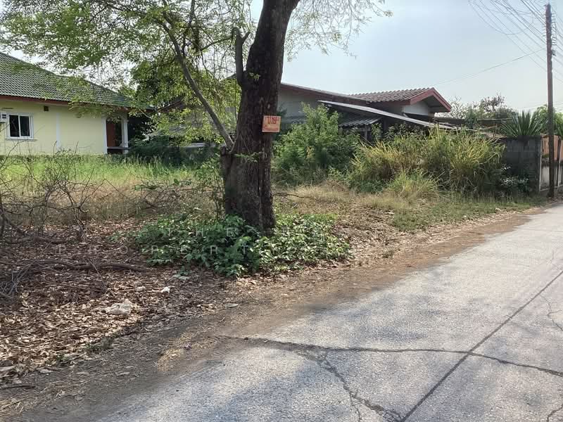 ที่ดินหนองแค สระบุรี, Saraburi, Nong Kare, Nong Khae, Saraburi, , 800 sqm, Land For Sale, by The Best Property เป้ (รหัสตัวแทน 6431) Line ID :, 500229686 - DDproperty.com