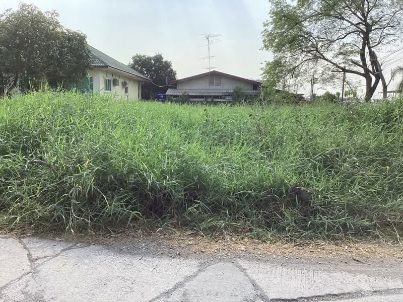 ที่ดินหนองแค สระบุรี, Saraburi, Nong Kare, Nong Khae, Saraburi, , 800 sqm, Land For Sale, by The Best Property เป้ (รหัสตัวแทน 6431) Line ID :, 500229686 - DDproperty.com