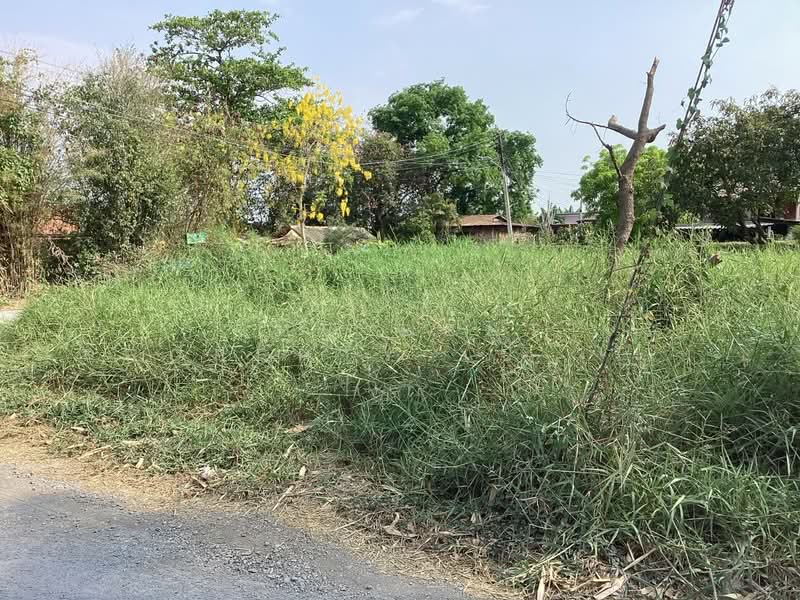 ขาย - ที่ดินหนองแค สระบุรี, สระบุรี