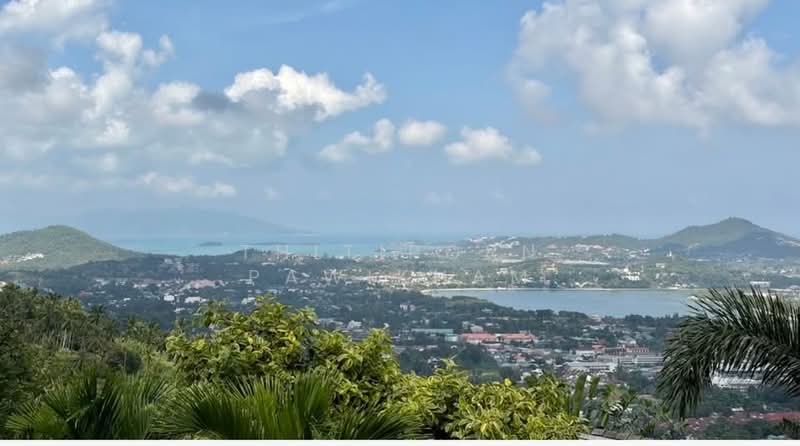 For Rent - 4-BR Villa, Surat Thani