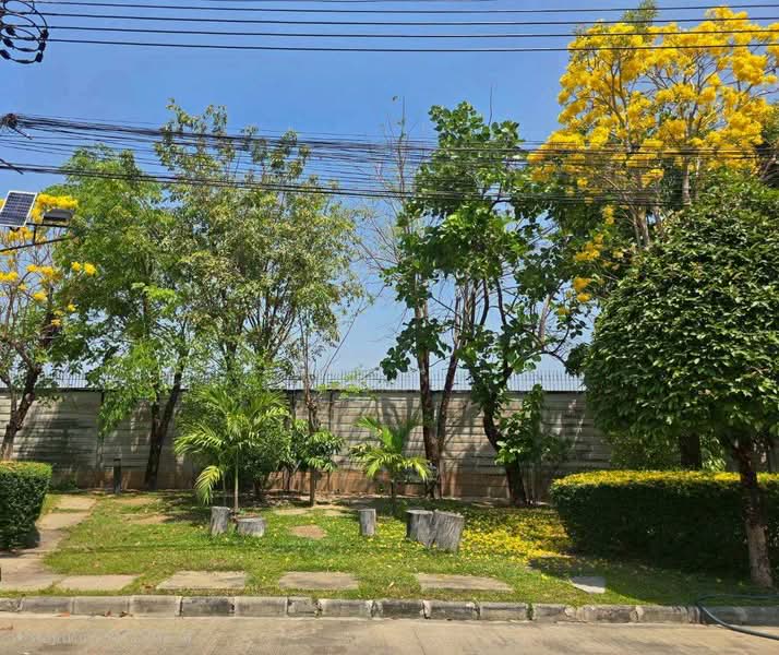 Prompat Prime Ramintra, Bangkok, Panya-Ramindra Road, Sam Wa Tawan Ok, Khlong Sam Wa, Bangkok, 3 Bedrooms, 118 sqm, Semi-Detached House (Twin House) For Sale, by แพน, 500229807 - DDproperty.com