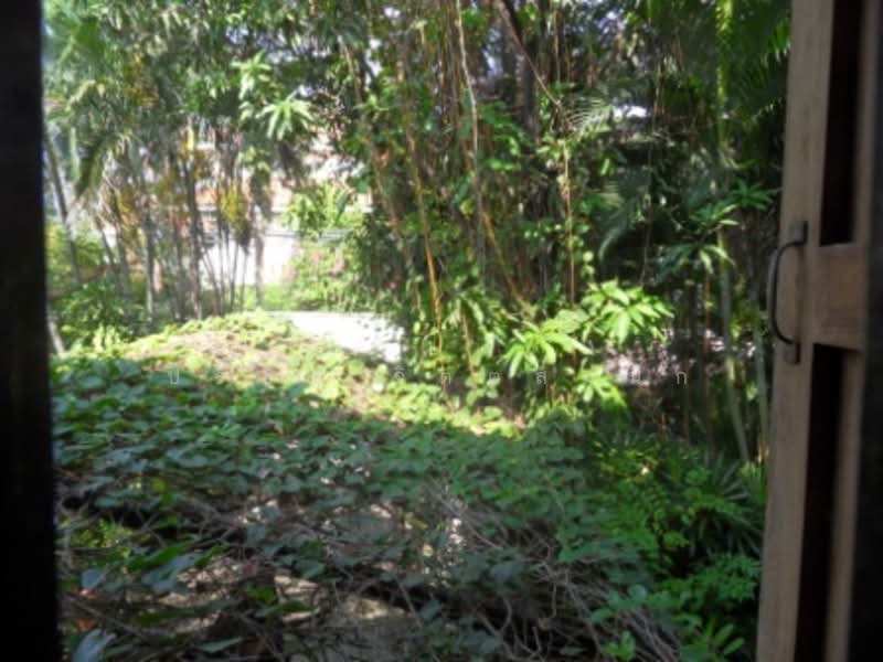 Old Wood Style house 3 bedroom with shady tree around BTS Ari, Bangkok, Phaholyothin, Samsen Nai, Phaya Thai, Bangkok, 3 Bedrooms, 200 sqm, Single Detached House For Rent, by ปรีชา จิตต์สมนึก, 500229842 - DDproperty.com