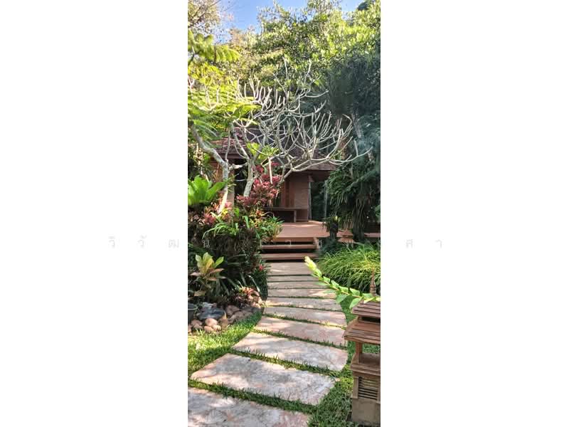 Beautiful house and land for sale at Chayana Resort, Mae Chan, Chiang Rai. 18480 sq.m., Chiang Rai, Pa-Sang, Mae Chan, Chiang Rai, 4 Bedrooms, 250 sqm, Single Detached House For Sale, by วิวัฒน์ เวชพงศา, 500229862 - DDproperty.com