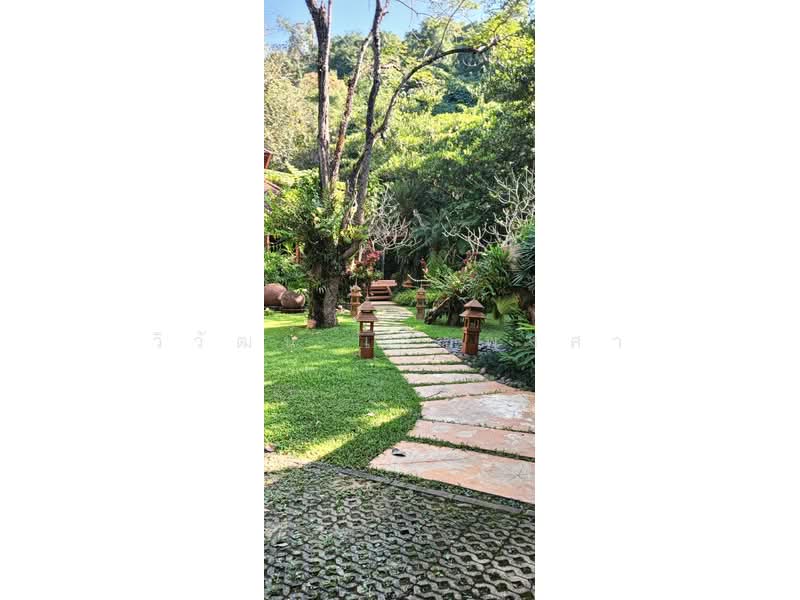 ขายบ้านสวยพร้อมที่ดิน ชยานารีสอร์ท,แม่จัน, เชียงราย 11ไร่ 2งาน 20ตรว., เชียงราย, ป่าซาง, แม่จัน, เชียงราย, 250 ตร.ม., บ้านเดี่ยว ขาย, โดย วิวัฒน์ เวชพงศา, 500229862 - DDproperty.com