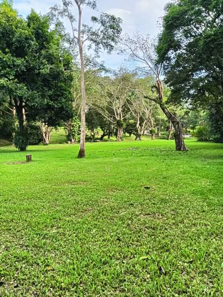 ขายบ้านสวยพร้อมที่ดิน ชยานารีสอร์ท,แม่จัน, เชียงราย 11ไร่ 2งาน 20ตรว., เชียงราย, ป่าซาง, แม่จัน, เชียงราย, 250 ตร.ม., บ้านเดี่ยว ขาย, โดย วิวัฒน์ เวชพงศา, 500229862 - DDproperty.com