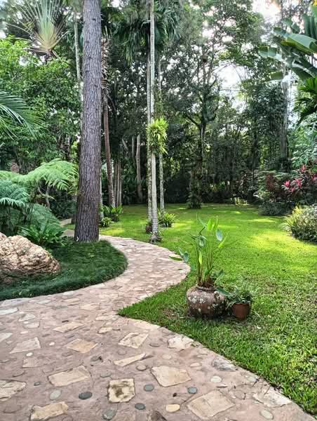 Beautiful house and land for sale at Chayana Resort, Mae Chan, Chiang Rai. 18480 sq.m., Chiang Rai, Pa-Sang, Mae Chan, Chiang Rai, 4 Bedrooms, 250 sqm, Single Detached House For Sale, by วิวัฒน์ เวชพงศา, 500229862 - DDproperty.com