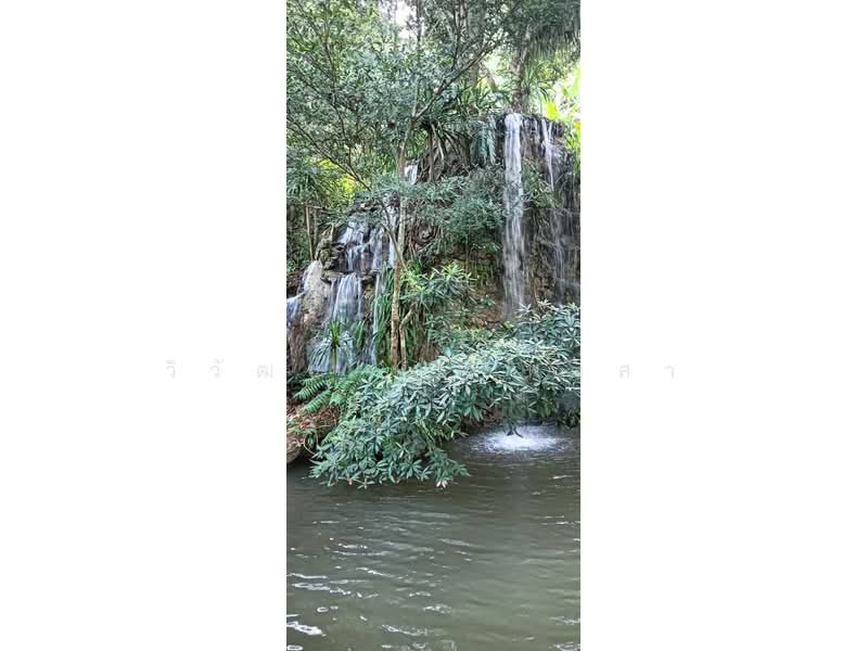 ขายบ้านสวยพร้อมที่ดิน ชยานารีสอร์ท,แม่จัน, เชียงราย 11ไร่ 2งาน 20ตรว., เชียงราย, ป่าซาง, แม่จัน, เชียงราย, 250 ตร.ม., บ้านเดี่ยว ขาย, โดย วิวัฒน์ เวชพงศา, 500229862 - DDproperty.com