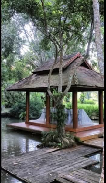 ขายบ้านสวยพร้อมที่ดิน ชยานารีสอร์ท,แม่จัน, เชียงราย 11ไร่ 2งาน 20ตรว., เชียงราย, ป่าซาง, แม่จัน, เชียงราย, 250 ตร.ม., บ้านเดี่ยว ขาย, โดย วิวัฒน์ เวชพงศา, 500229862 - DDproperty.com