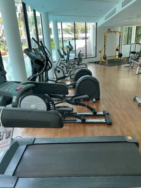 Elio Del Ray, Bangkok, 95 Sukhumvit 64 Road, Bang Chak, Phra Khanong, Bangkok, Studio, 24 sqm, Condo For Rent, by Soraya Pongpitak, 500230238 - DDproperty.com