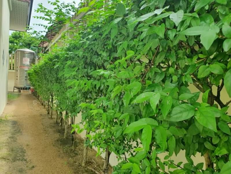 undefined, Chon Buri (Pattaya), Surasak, Si Racha, Chon Buri (Pattaya), 4 Bedrooms, 195 sqm, Single Detached House For Sale, by Thanyalag Chanchodtanakul, 500230265 - DDproperty.com