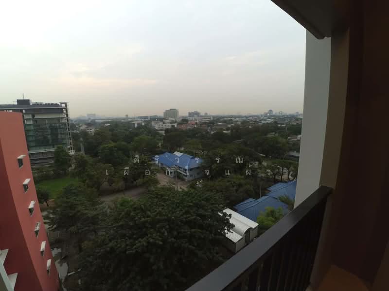 Kensington Kaset-Campus, Bangkok, Soi Phahon Yothin 49/1, Lat Yao, Chatuchak, Bangkok, 1 Bedroom, 25 sqm, Condo For Rent, by ศิริวรรณ เผือกใจแผ้ว, 500230266 - DDproperty.com