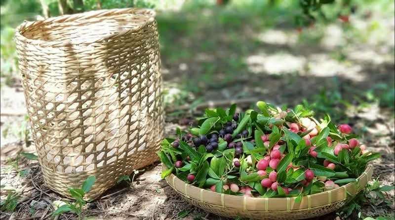 ที่ดินพร้อมสวน อ.ปากช่อง จ.โคราช (5 ไร่ 2 งาน) หลัง Big C ปากช่อง, นครราชสีมา, ปากช่อง, ปากช่อง, นครราชสีมา, 8,800 ตร.ม., ที่ดิน ขาย, โดย ภัทรพล ศรีกัลยาณบุตร, 500230421 - DDproperty.com