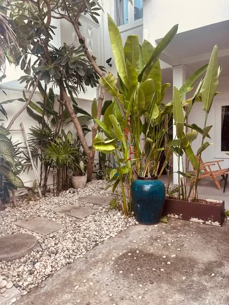 บ้าน 3-ห้องนอน, สุราษฎร์ธานี, บ่อผุด, เกาะสมุย, สุราษฎร์ธานี, 120 ตร.ม., บ้านเดี่ยว ขาย, โดย Pattanapong Pongpipat, 500230462 - DDproperty.com